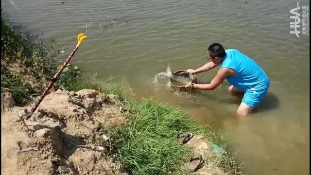 大物杀手鱼竿,大物一味鱼竿