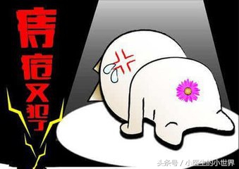 十人九痔怎么治疗好得快,痔疮吃什么药能消痔