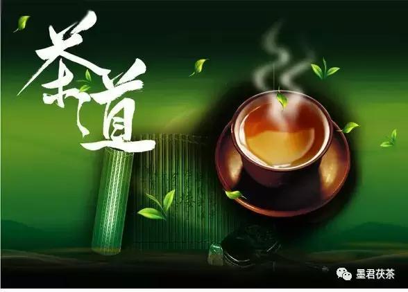 面对墨君茯茶诱人的茯香，这几位世界顶级植物学专家毫无防备地倾倒了！