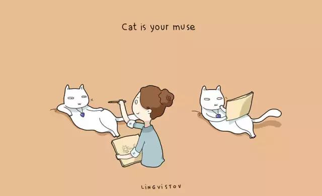 养猫的100个好处视频,养猫的人才懂的十个好处