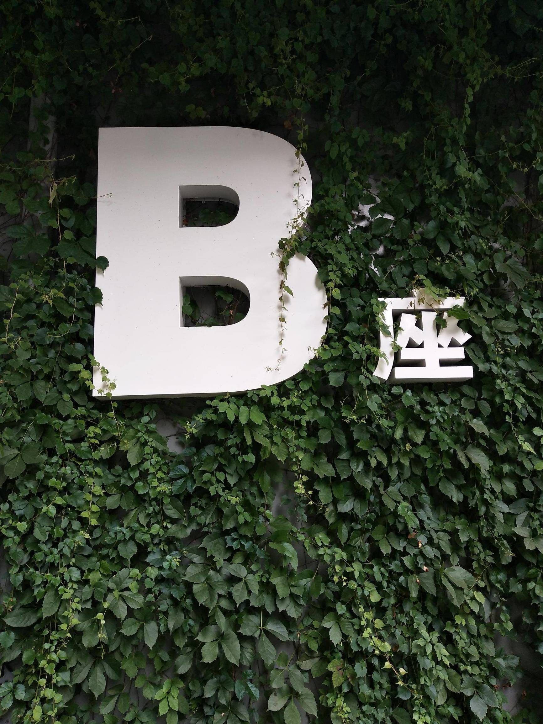 vivox90s日常体验,vivox90s拍照效果实测