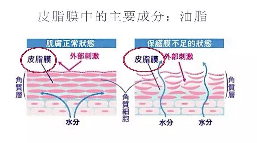想要补水保湿怎么选,深层补水有什么作用和功效