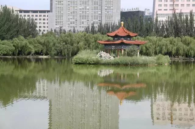 醉美西城｜“城在绿中人在景中”探访绿荫之下的回民区