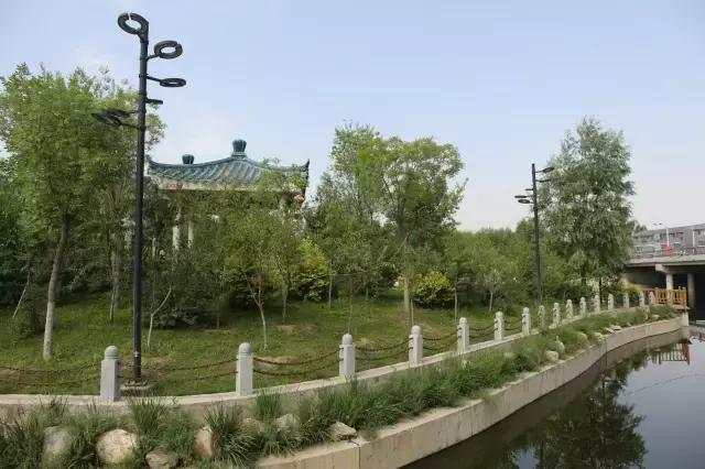 醉美西城｜“城在绿中人在景中”探访绿荫之下的回民区