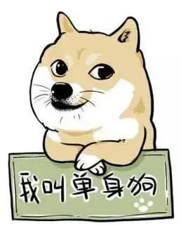 英语小练笔带中文,英语小练a部分