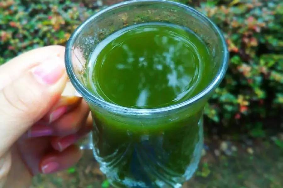 有人说酒太难喝了怎么反驳,葡萄酒为什么那么苦那么难喝