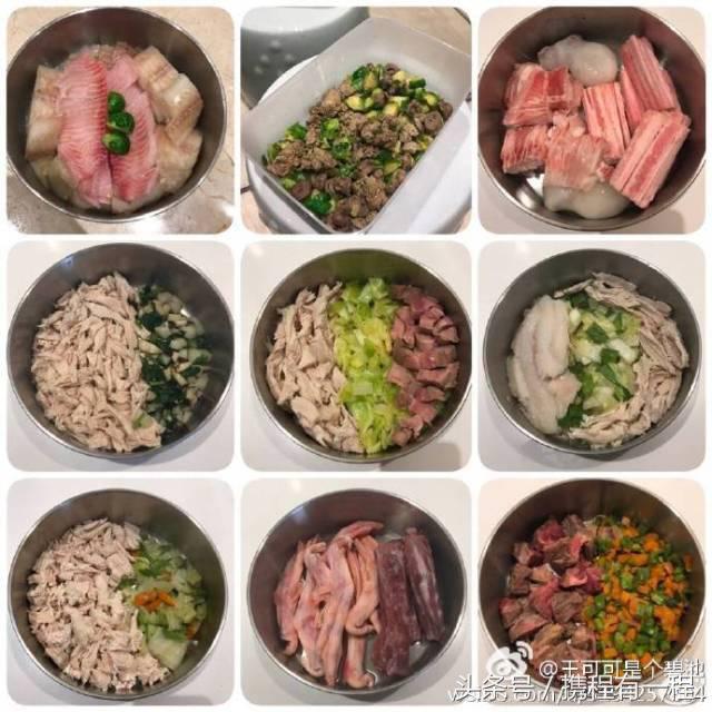 王思聪可以带狗上飞机吗 (王思聪飞机可以带狗吗)