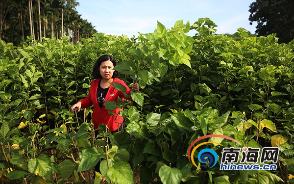 驻村生活vlog,农村驻村扶贫vlog