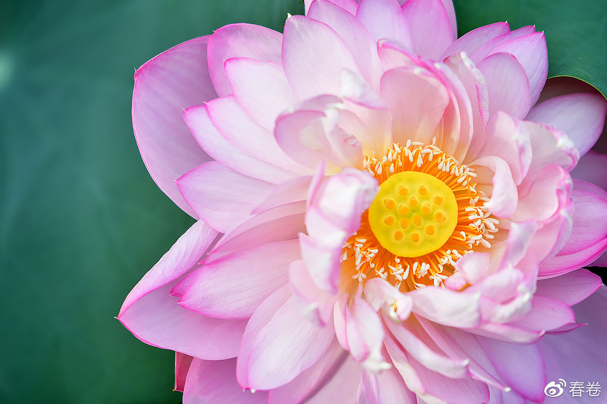 尼康和腾龙合作的镜头,尼康腾龙长变焦镜头比较