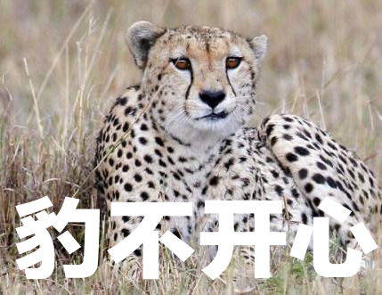 导演路阳和编剧陈舒再度合体，携带男神张震拍了这部续集。这次取代刘诗诗和张震缠缠绵绵到天涯的，换成杨幂