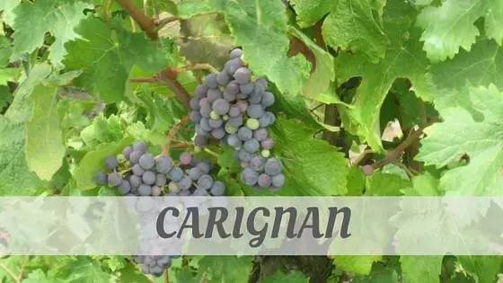 佳丽酿葡萄品种,佳丽酿西拉混酿的口感