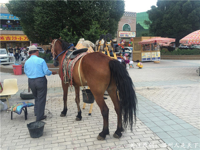 新疆南疆之旅攻略火车,为期八天的南疆之旅完美结束