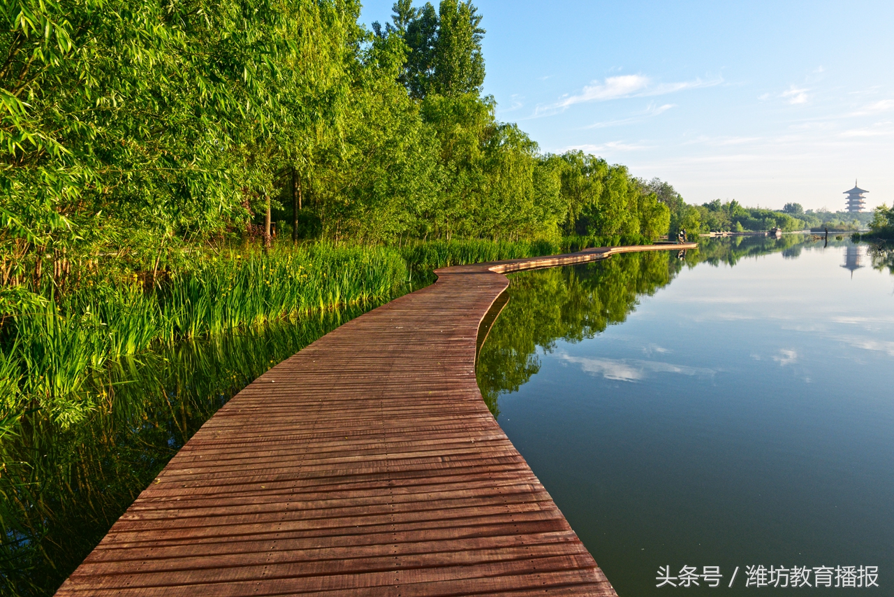 山东省教育最好的地级市,山东省哪个市教育水平最差