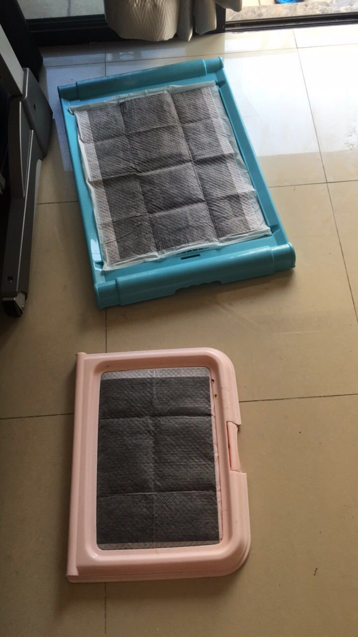 如何教小型犬大小便,解决狗狗大小便的小技巧和工具