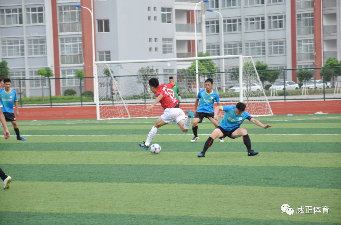 战报精彩视频大全,战报完整版视频