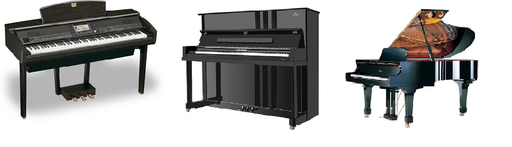 成年人如何自学弹钢琴 (成年人适合弹钢琴吗)