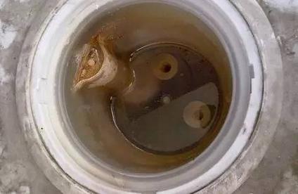 如何清洗饮水机内胆污垢,家用饮水机怎么清洗内胆污垢