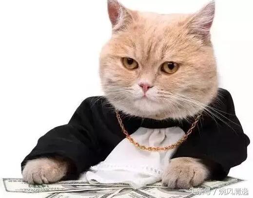 做会计是一种怎样的体验,做会计是做什么工作的