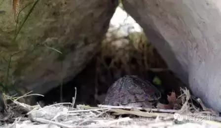 藏穴是什么意思,藏穴