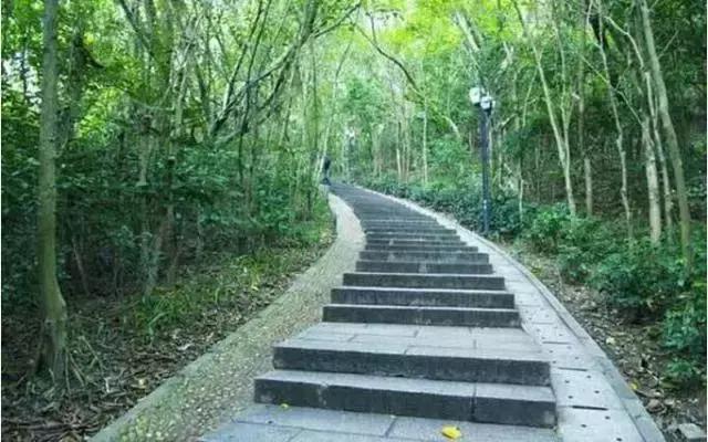 广东十大名山最新排名,广东七大名山是哪些