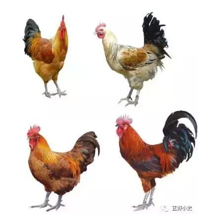 悟空杨戬哪吒师傅,悟空哪吒天王李靖