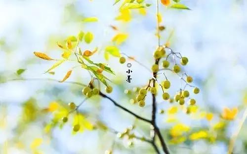 伏天出汗的好处和坏处,伏天出汗几天最好