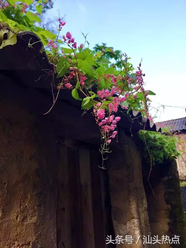 楠戣瑙佽瘉涓浗鍩庨晣鍙樺寲,婢勬捣涓滈噷妯熸灄鍙ゅ贩