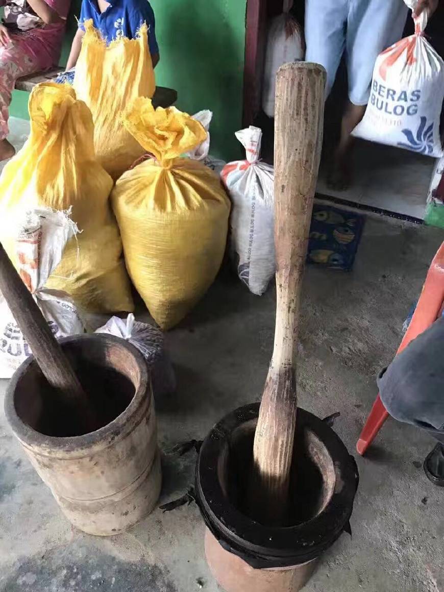 金刚菩提怎么区分大小金刚,红皮金刚菩提和黄皮金刚菩提