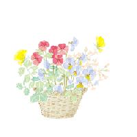 南锣最美胡同,北京南锣鼓巷胡同哪些好吃又便宜