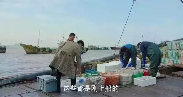 贺涵同款手表图片,贺涵戴的表是哪一款