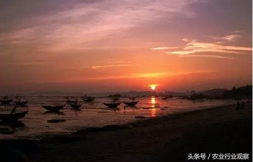 农村电商与农产品,农村电商与草根创业哪个好