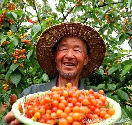 农村电商与农产品,农村电商与草根创业哪个好