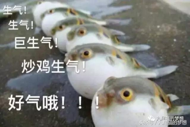 渣男味、发廊味、女老师洗澡后的味道，直男在香水面前简直疯了