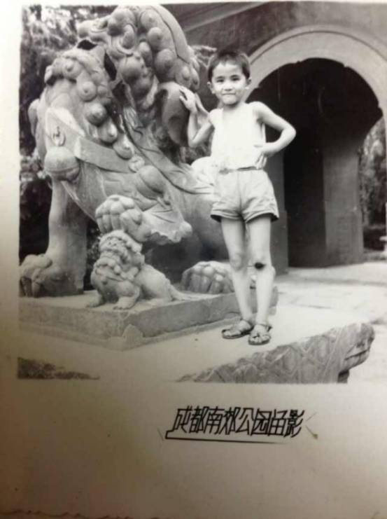 读客文化董事长华楠,读客文化有限公司华楠