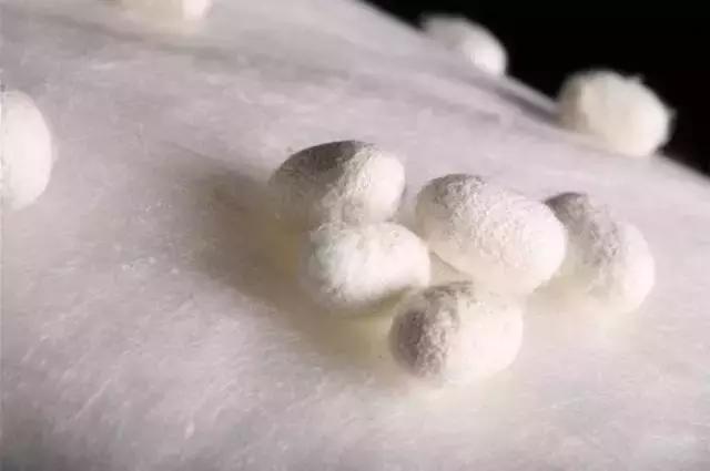 又贵又好用的爱马仕,爱马仕最经典的10款