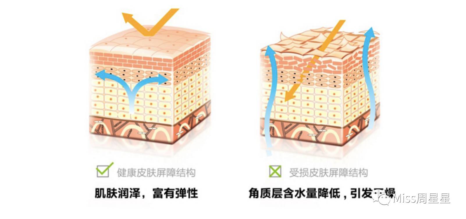 宋慧乔用哪款护肤,宋慧乔长期用精华水