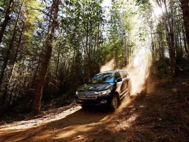 jeep牧马人泥泞越野实拍,jeep牧马人越野最震撼视频