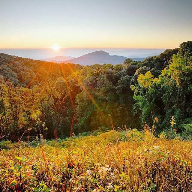 中泰永久互免签证对精英签的影响,赴泰签证最新政策