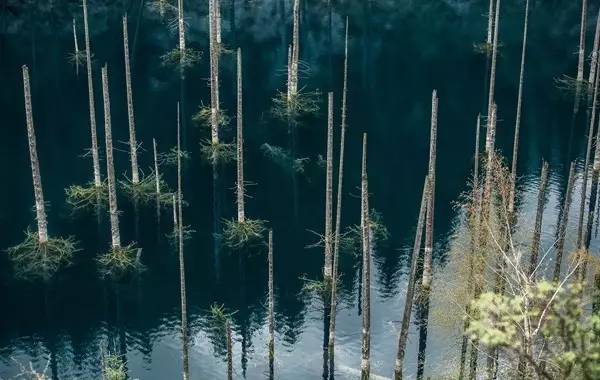 有51个可以免签和落地签的国家,23年免签或落地签国家