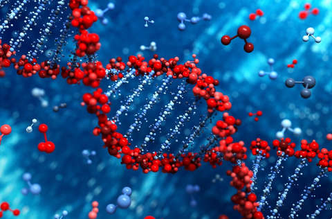 解析Nature重大突破！如何利用奶牛快速产生HIV通用型中和抗体