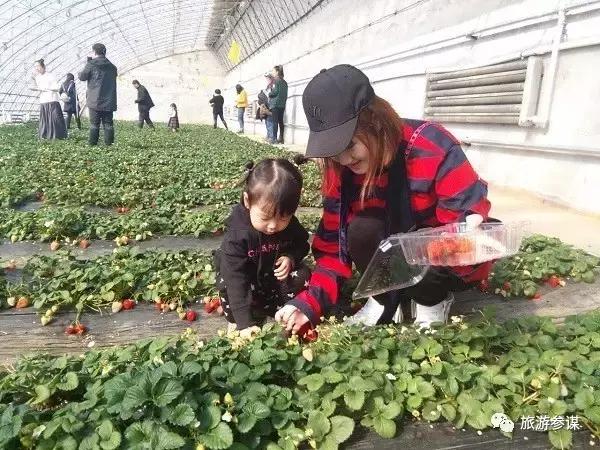 2017年梅花鹿节举办,长春双阳梅花鹿节