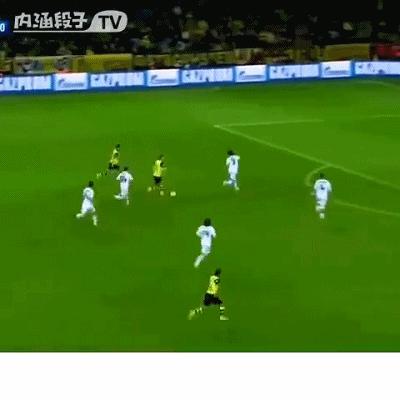 足坛人物志马尔科罗伊斯,马尔科罗伊斯个人资料