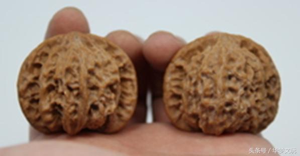 磨盘连体狮子头,平顶狮子头和磨盘区别