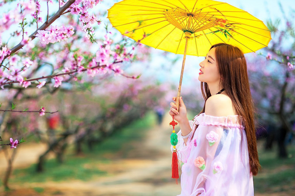 全国双修城市名单,全国城市双修县城试点城市