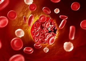 血液粘稠最怕三种食物是什么,高血压血液粘稠最怕三种食物