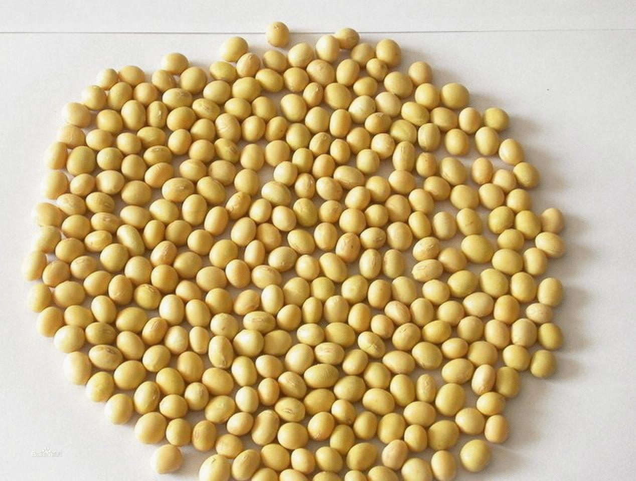 烫伤后你真的知道该怎么办吗,烧伤后怎么才能说已经愈合了