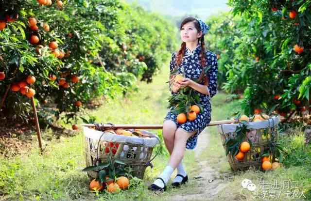 洞口当地的美食,洞口哪些好吃的