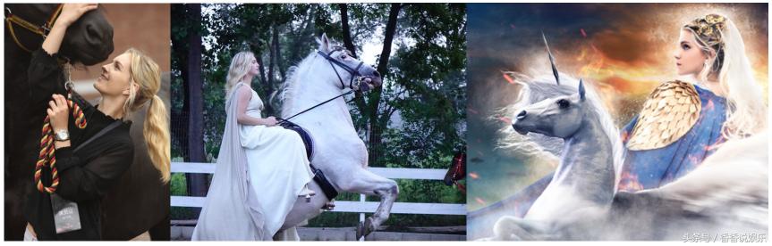 史诗马秀特洛伊多少集,马秀特洛伊套票价格