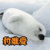 霸都这周末太疯狂！不信你看这张牛X时间表！