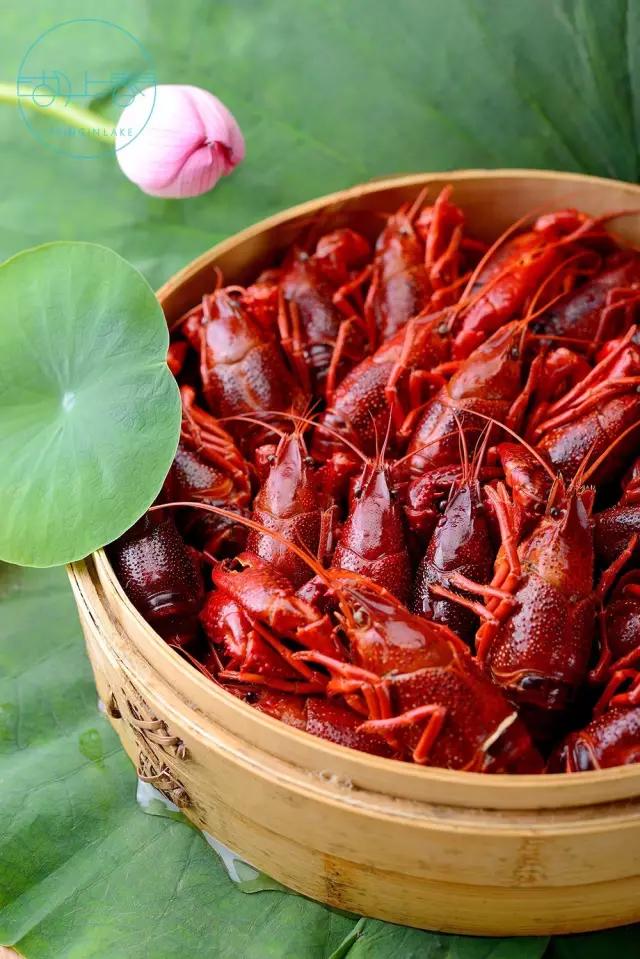 一天卖掉60只生烤乳鸽，卤切肥肠要配小米酒！杭州的深夜小酒馆是这样的